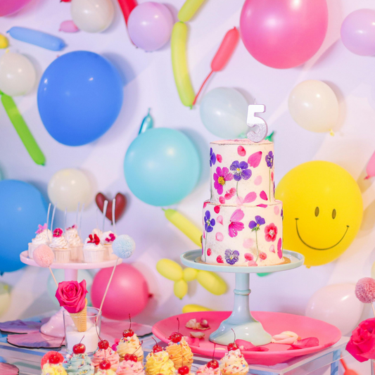 Daytime Party -  Up to 25 kids